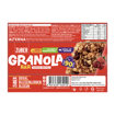Züber Granola Bar Orman Meyveli 25g nin resmi