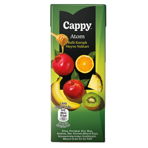 Cappy Atom Karışık Meyve Nektarı 200 ML nin resmi