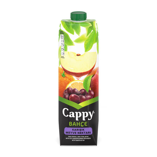 Cappy Karışık Meyve Nektarı 1 L nin resmi