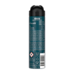 Rexona Men Erkek Sprey Deodorant Invisible Ice Fresh 72 Saat Kesintisiz Üstün Koruma 150 Ml nin resmi