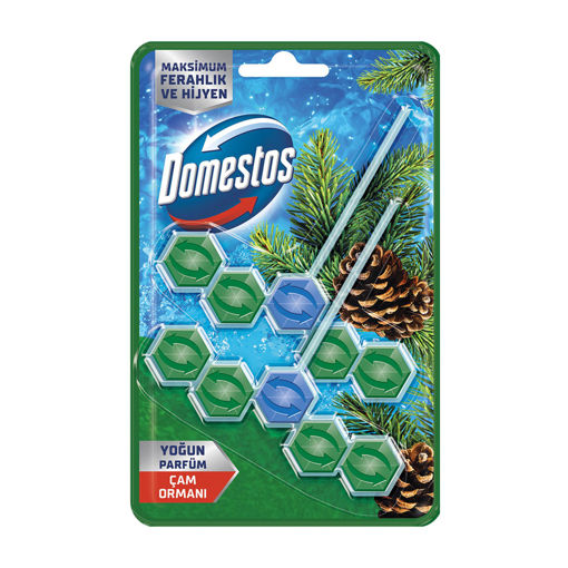 Domestos Wc Blok Çam Ferahlığı 2 x 50 Gr nin resmi