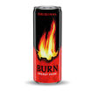 Burn Enerji İçeceği Kutu 250 Ml nin resmi