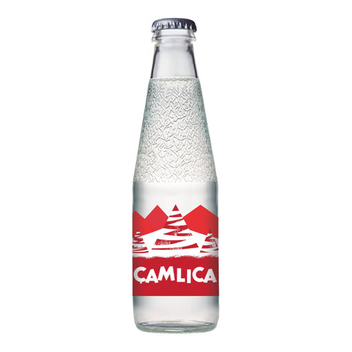 Çamlıca Gazoz 200 Ml nin resmi