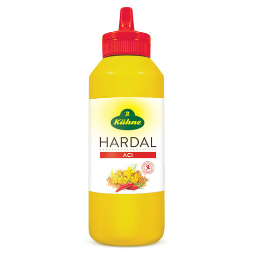Kühne Acı Hardal 250 Gr nin resmi