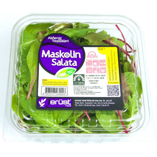 Aydın Erüst Maskolin Salatası 150 Gr nin resmi