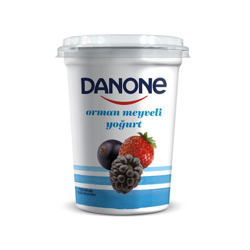 Danone Meyveli Yoğurt Orman Meyveli 400 Gr nin resmi