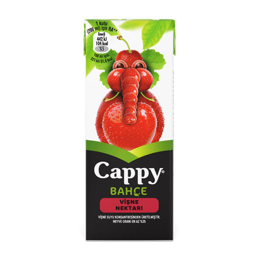 Cappy Vişne Nektarı 200 Ml nin resmi